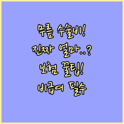 무릎 인공관절 수술비 얼마나 들까 건..