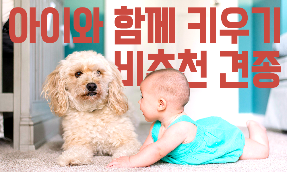 아기와-강아지