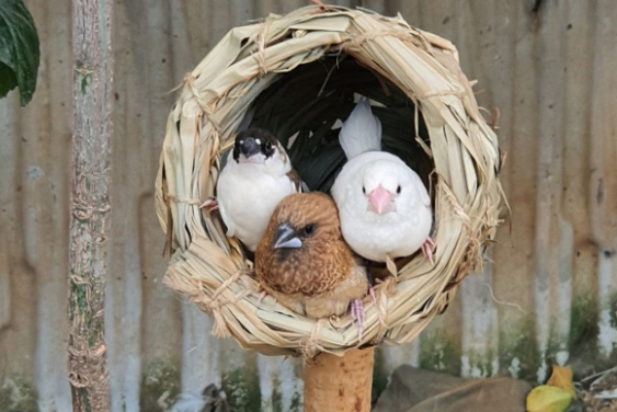 파주-퍼스트가든-10