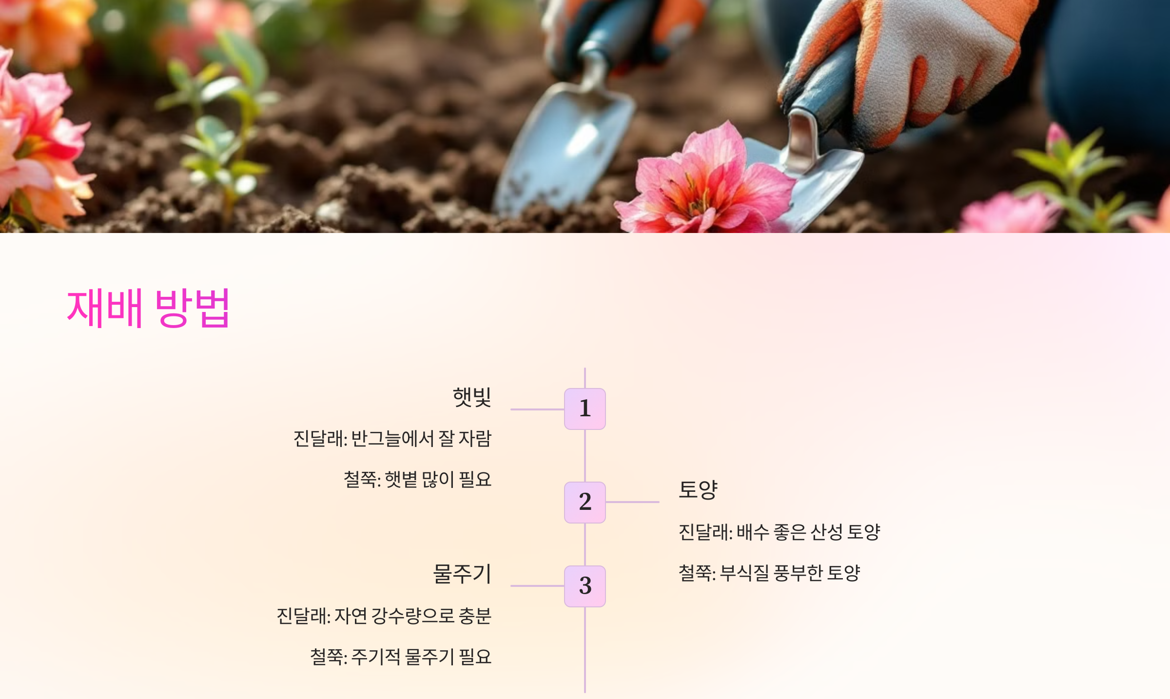진달래와 철쭉