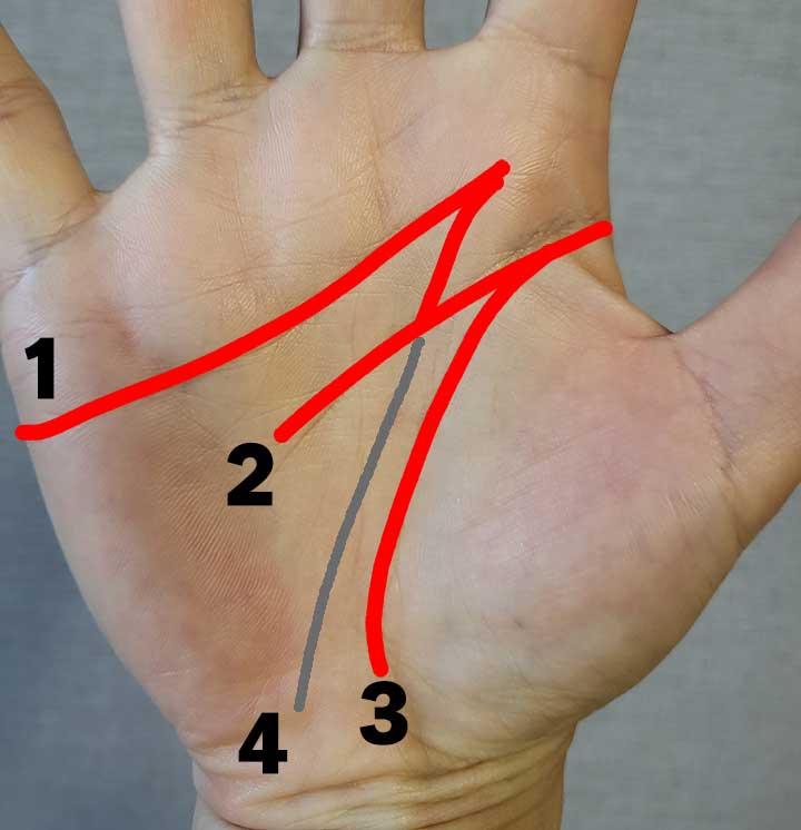 M자 손금 모양의 손 이미지