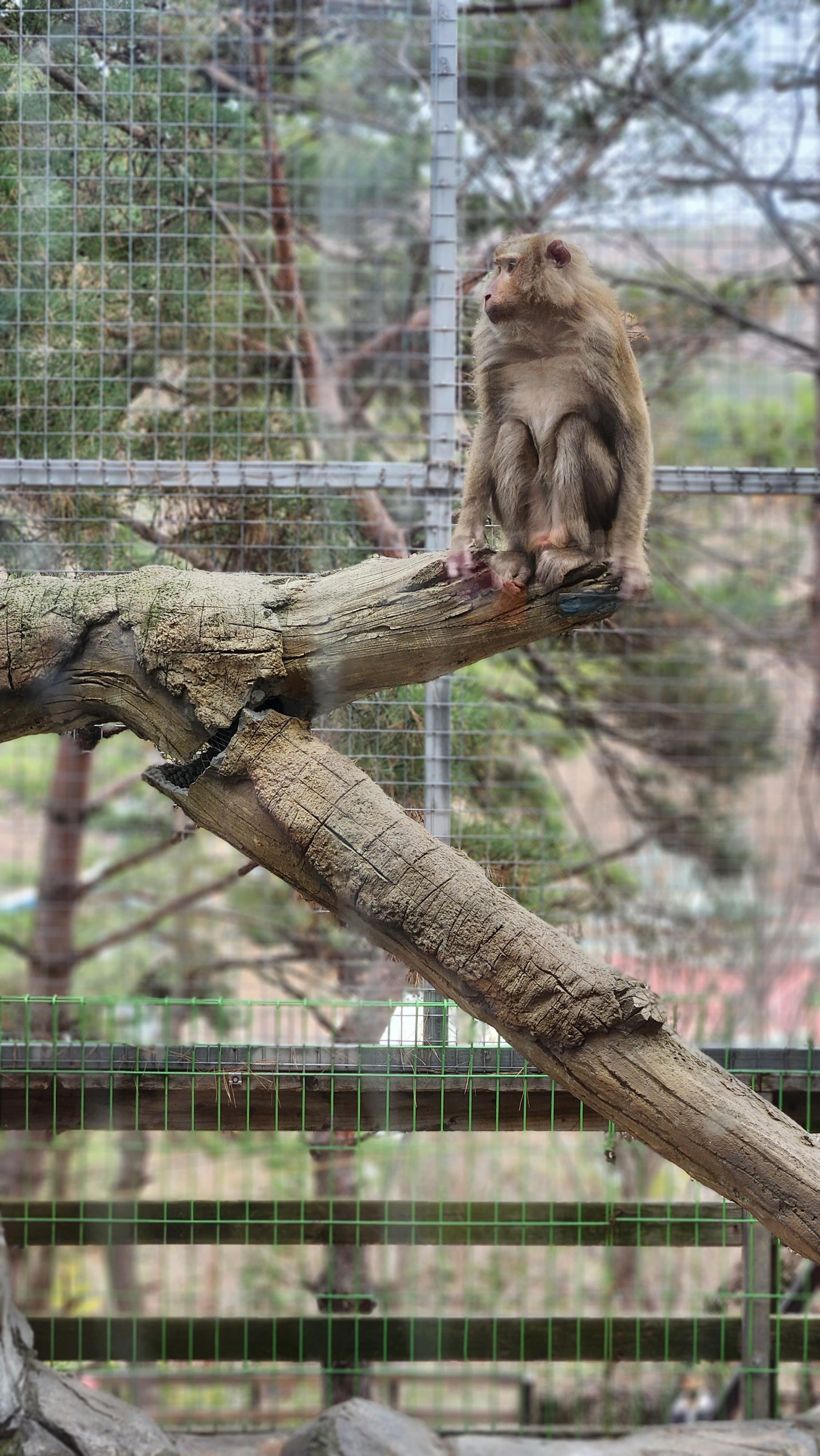 대구-네이처파크
