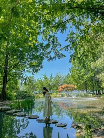 안동 가볼만한곳 베스트10 하회마을 병산서원 간고등어 맛집_8