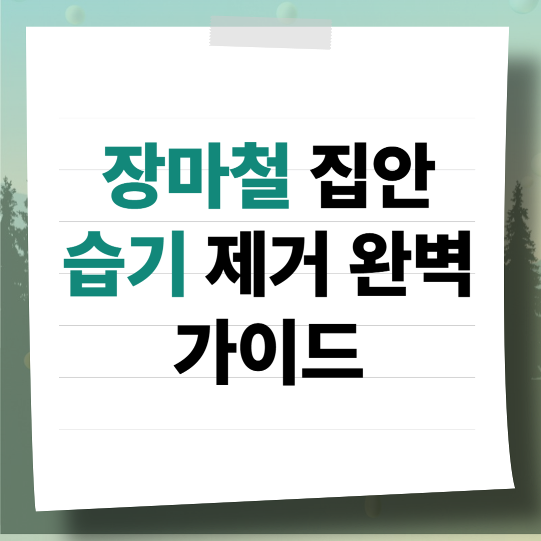 장마철 집안 습기 제거 완벽 가이드: 곰팡이 방지부터 천연 제습제 활용법까지