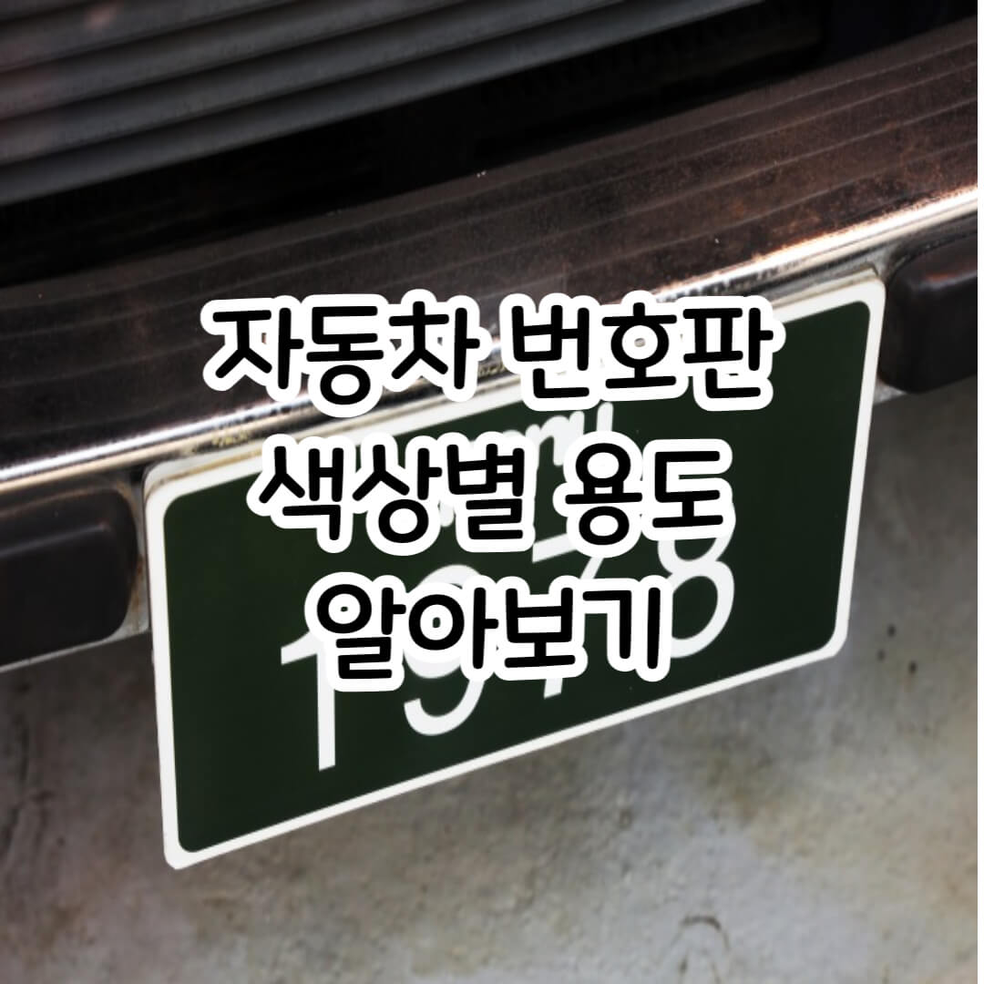 자동차 번호판 색상별 용도