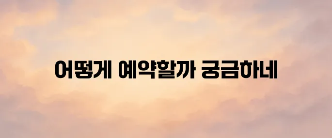 카카오택시 사용법｜예약방법