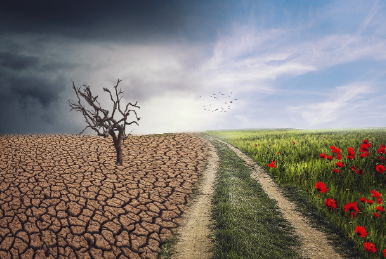 기후 변화가 마음에 스며드는 방식: 우울감과 정서 건강의 연결