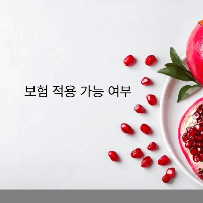 보험 적용 가능 여부