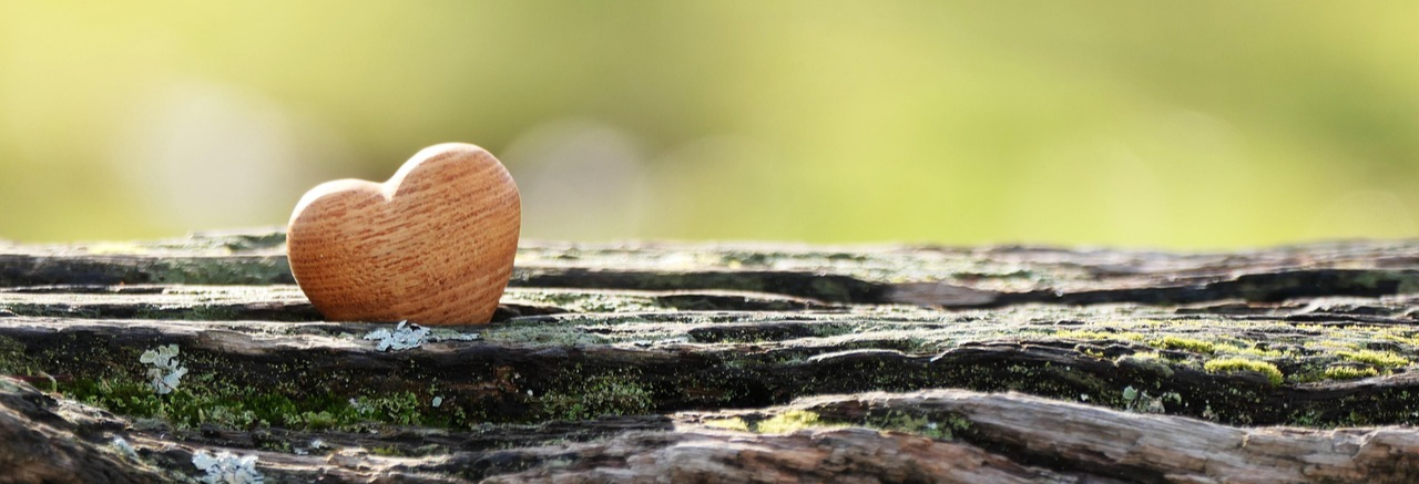 나무 하트-마음챙김