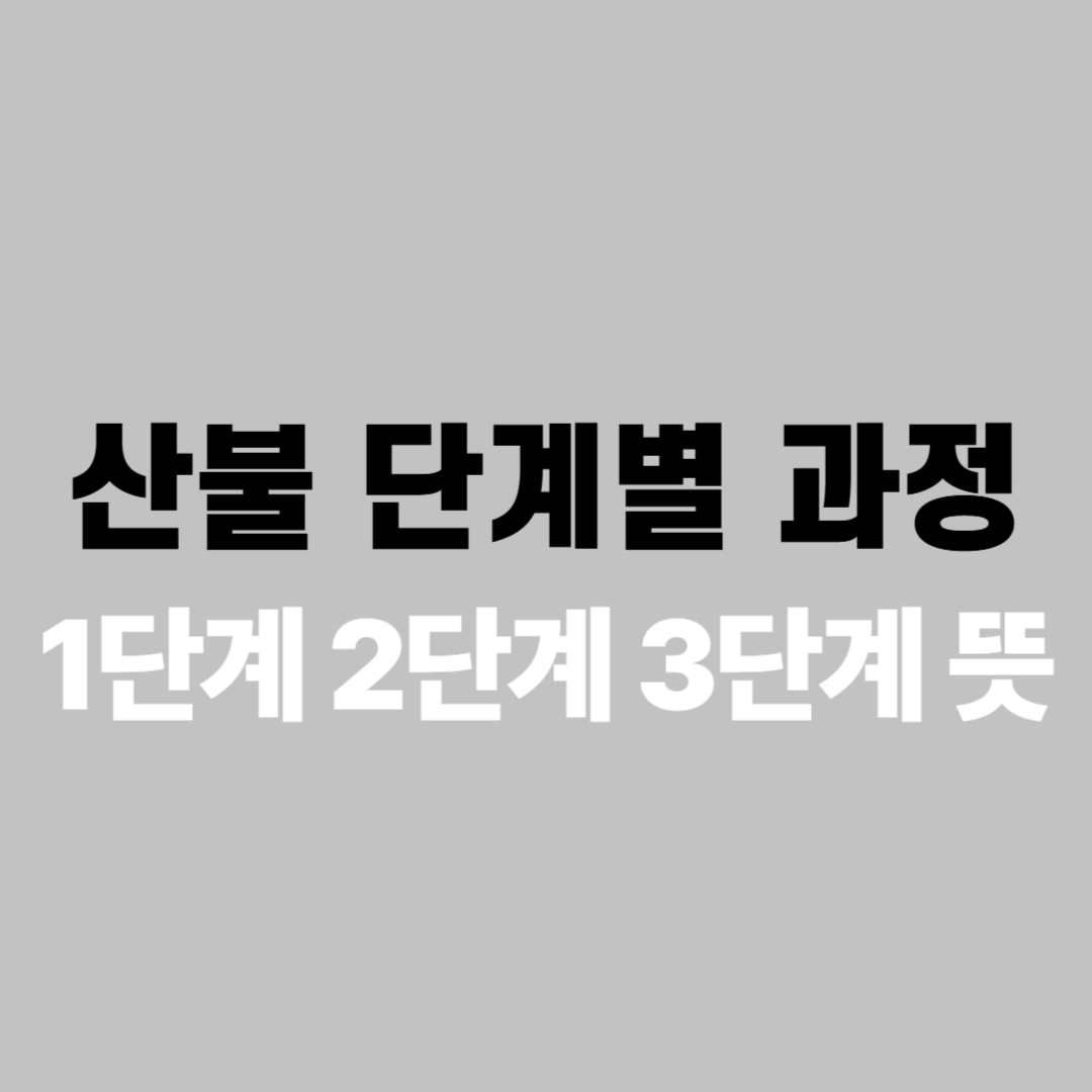 산불 단계별 과정(1,2,3 단계)