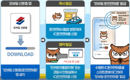 IC 면허증으로 교체 방법