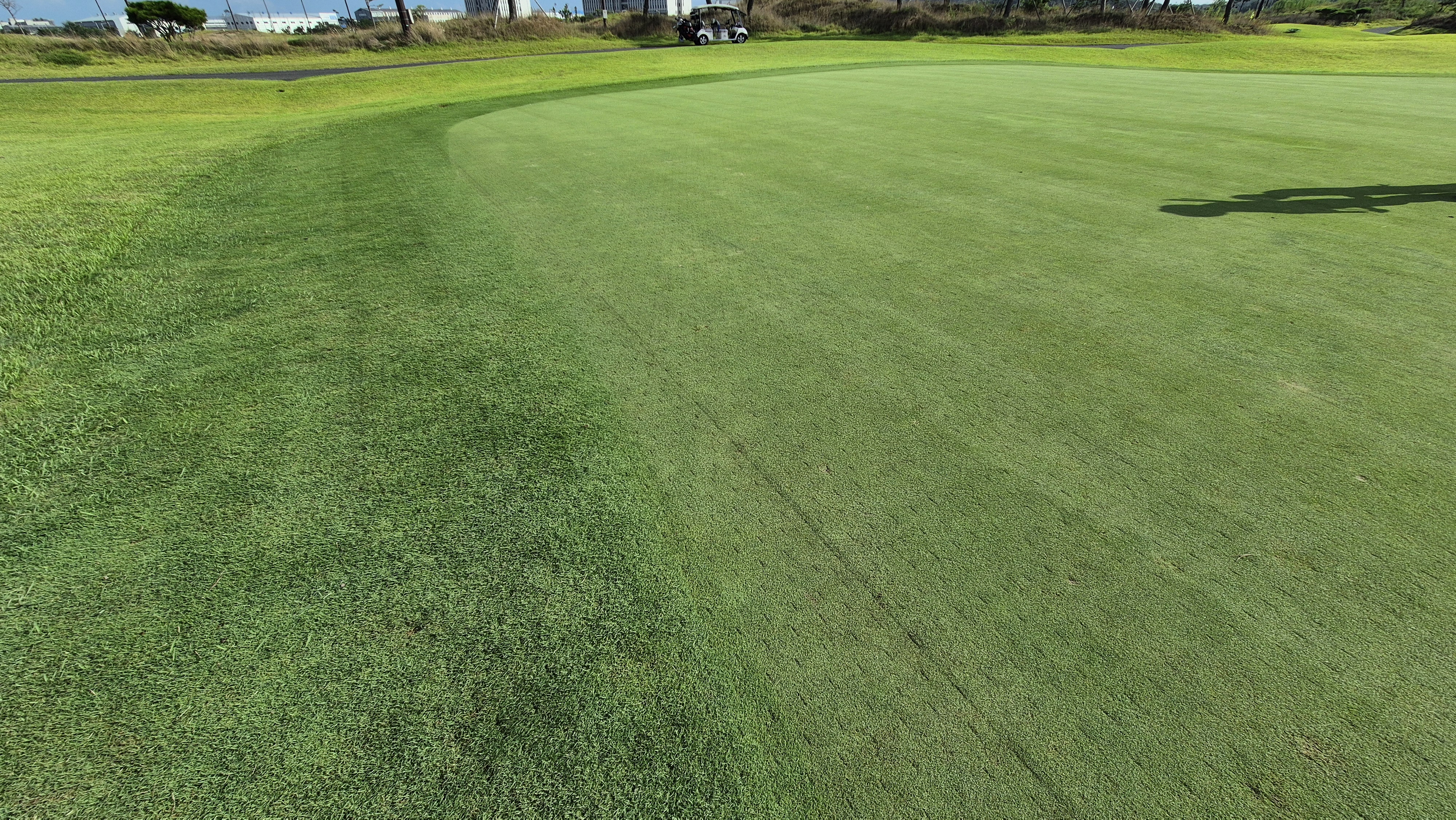 플라밍고cc 듄스-링크스 코스 라운드 후기