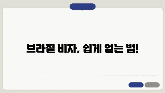 브라질 비자 신청
