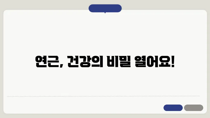 연근 효능과 부작욨 및 보관장음영앙/겇단 안났다
