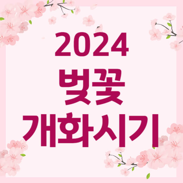 2024 벚꽃 개화시기