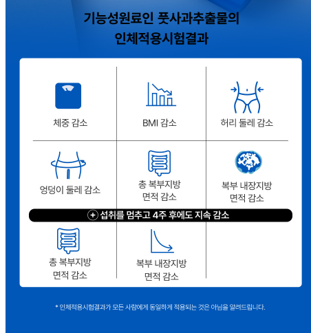 파란통 다이어트 효능