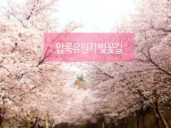 곡성 가볼만한곳 베스트10 기차마을 섬진강길 카페 산책_6