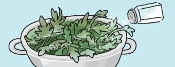 쑥 효능 부작용 하루 섭취량 먹는법_3