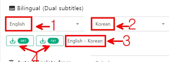 유튜브-이중-자막-추출하기