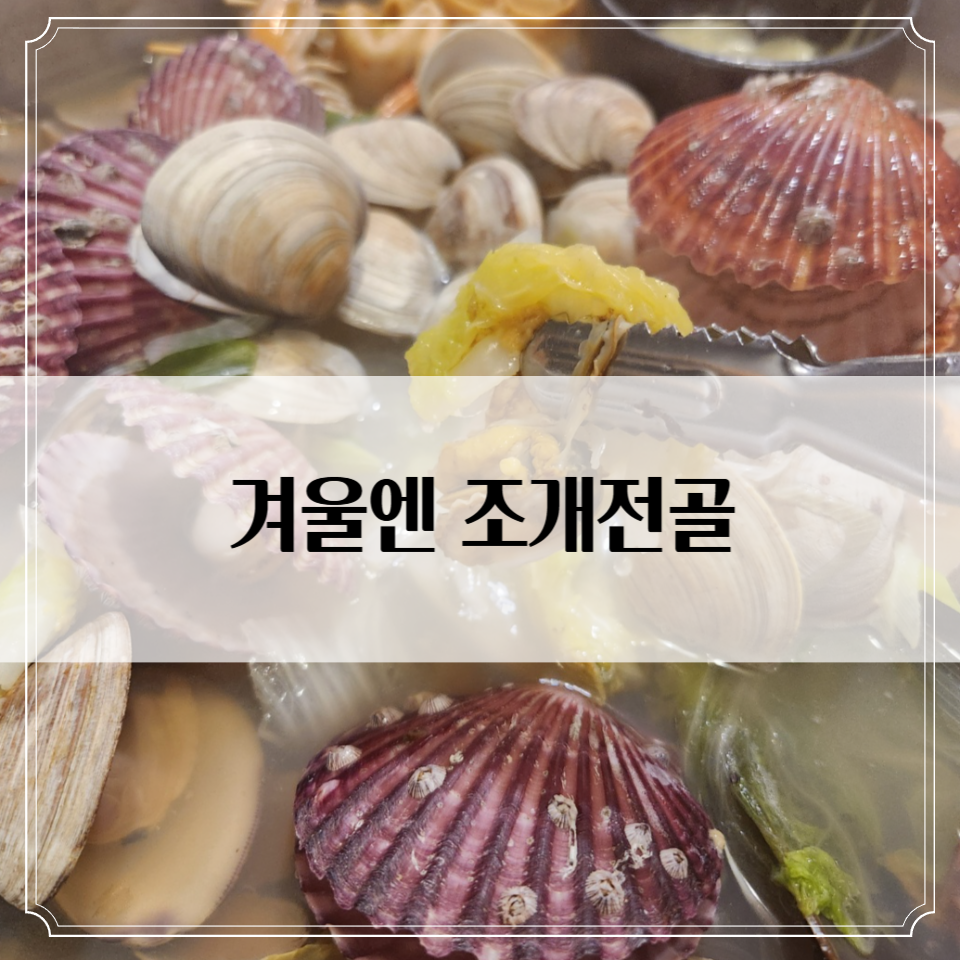 미금 '택이네 조개전골' 후기 - 조개 푸짐한 겨울 국물 맛집