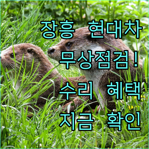 장흥군 현대자동차 블루멤버스 무상 점..