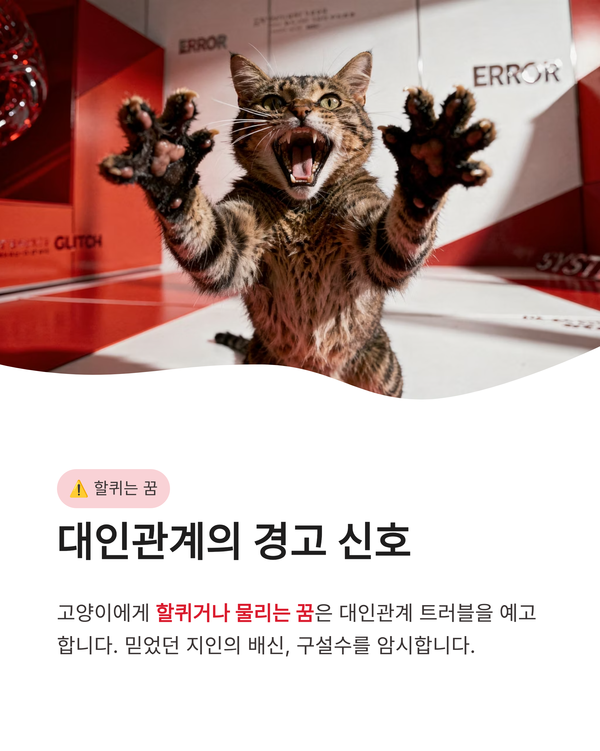 고양이 꿈 해몽 ❘ 할퀴는 검은 고양이 새끼 고양이까지? 행운과 경고의 미묘한 차이 완벽 가이드