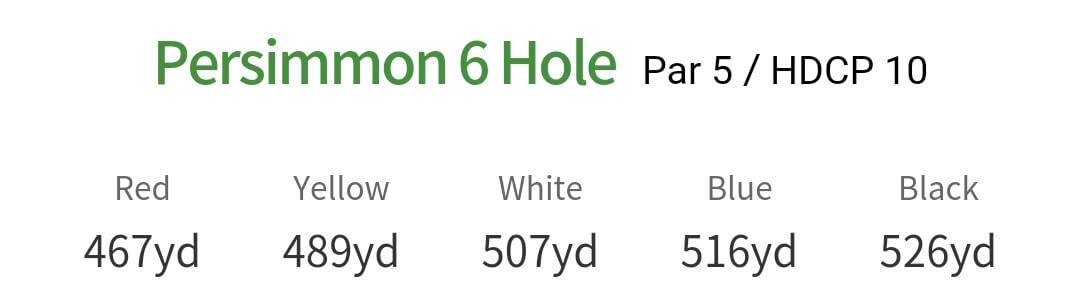 솔모로 컨트리클럽 퍼시몬코스 6