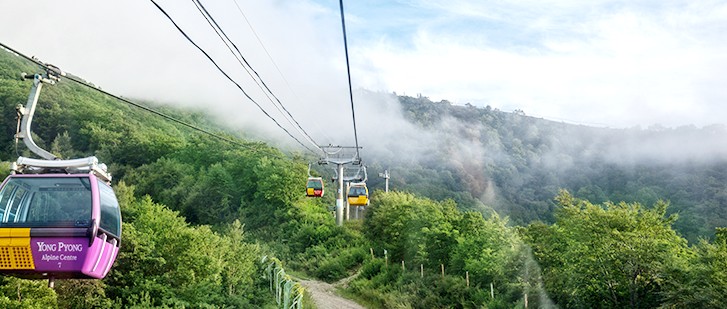 발왕산 케이블카 요금 예약 운행시간