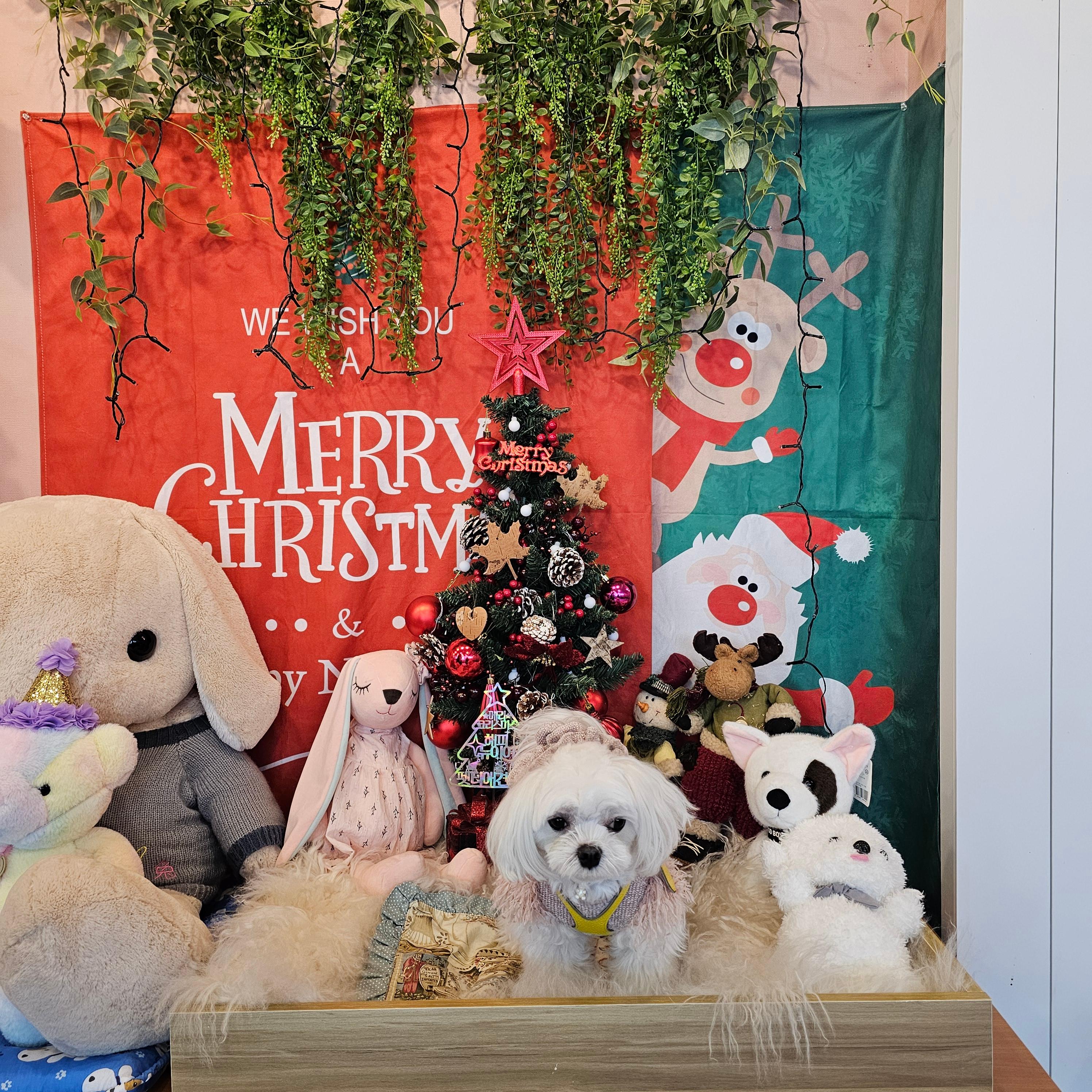 시즌에 따라 변하는 포토존