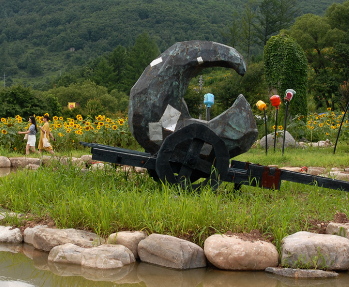 태백해바라기축제