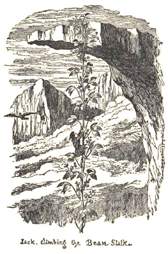1854-illustration-of-Jack-climbing-the-beanstalk-by-George-Cruikshank
[출처: 위키백과]