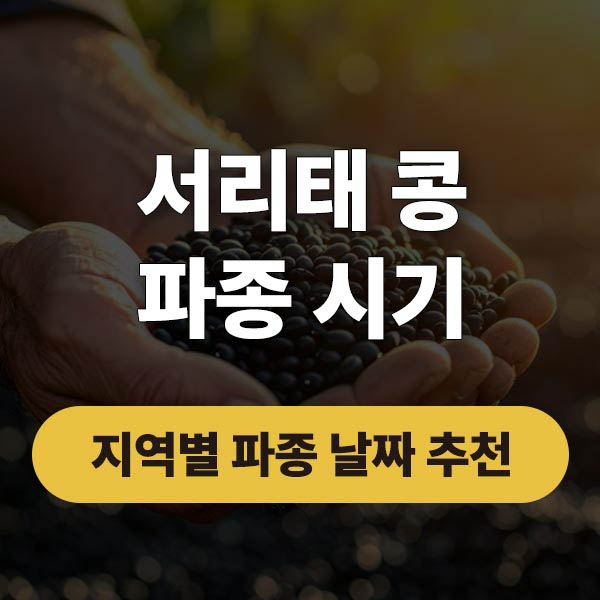 서리태 콩 파종시기 중부 남부지방 기준과 재배방법