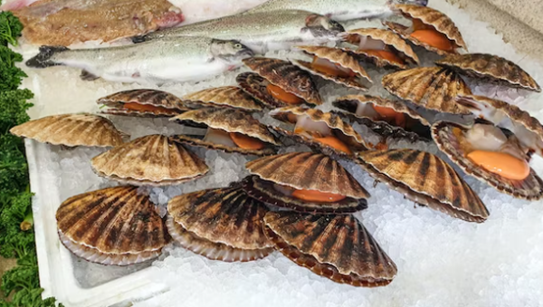 노로바이러스 전염