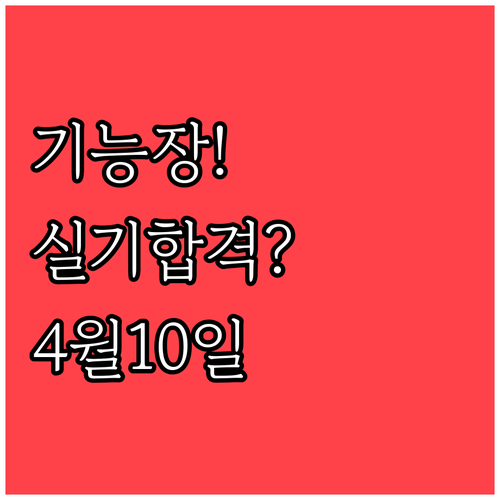 기능장 실기 합격 결과 큐넷에서 4월..