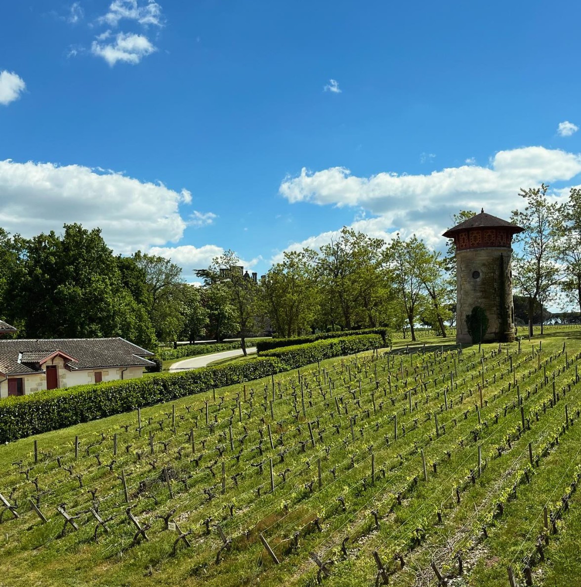 보르도 메독 지구