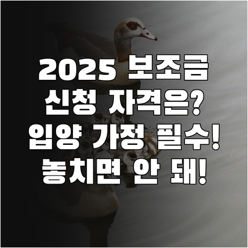 2025 장애아동 입양가정 보조금, ..