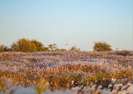하늘공원 해돋이 명소