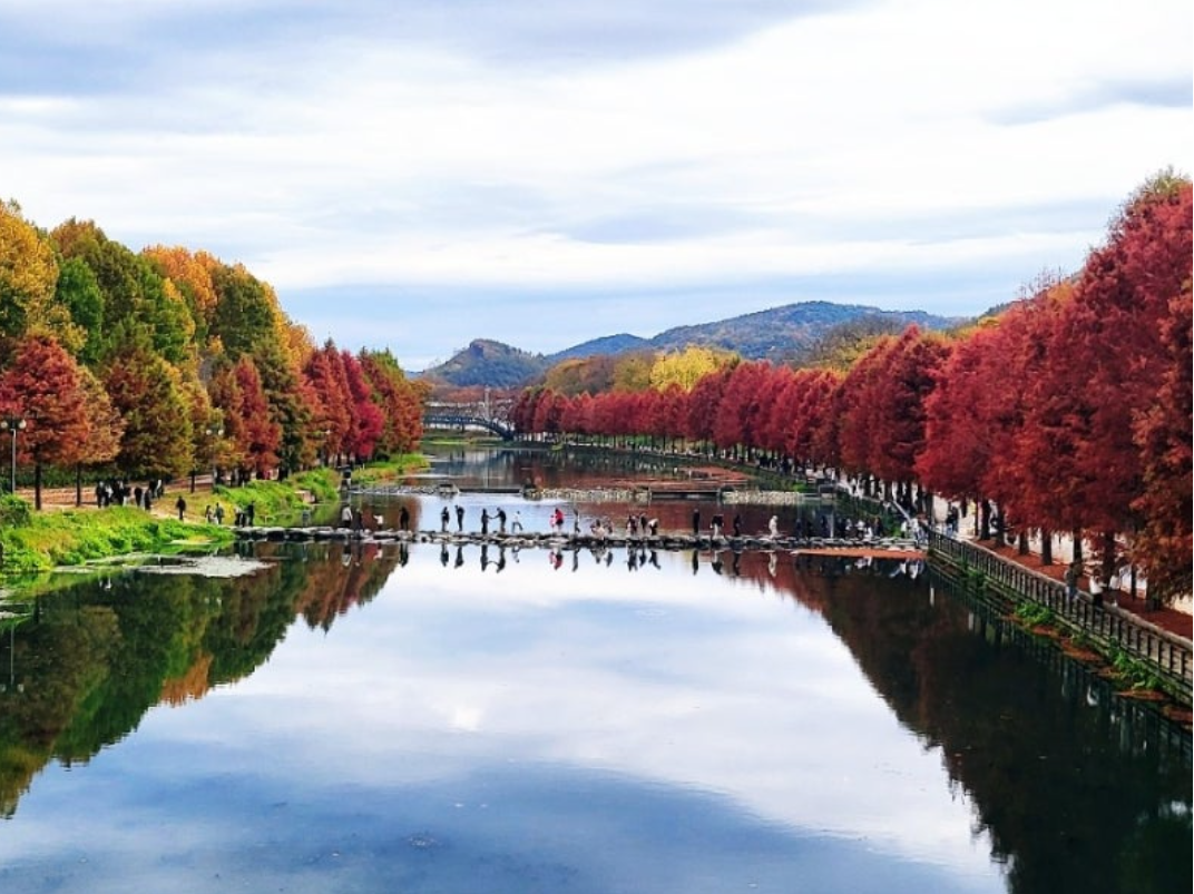 담양 여행 1박2일 코스
