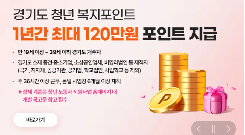 경기도 청년복지포인트