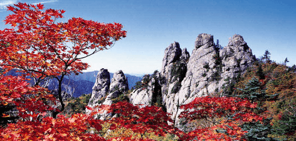 단풍구경-가볼만한-곳-설악산