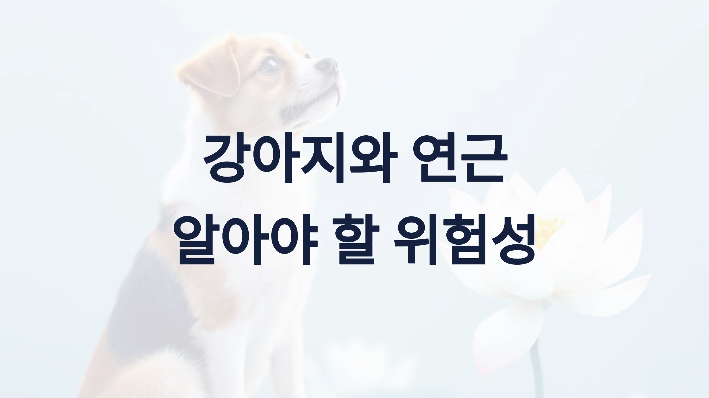 강아지가 연근을 먹으면 안 되는 이유