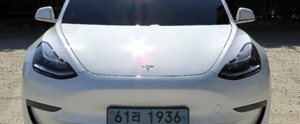 테슬라 주가2