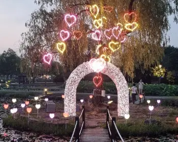 부여 서동 연꽃축제27