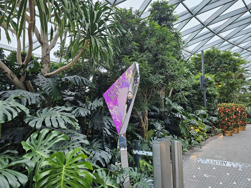 쥬얼 창이-캐노피파크