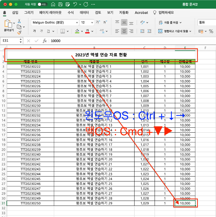 마지막 데이터 셀로 포인터 한 번에 이동하기