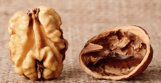 호두 한 알 칼로리와 하루 권장 섭취량