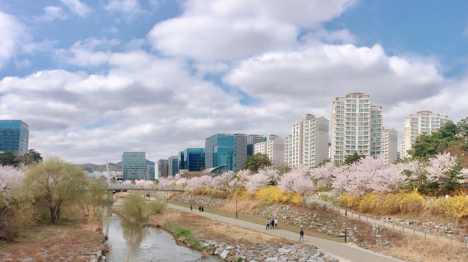 판교 테크노밸리