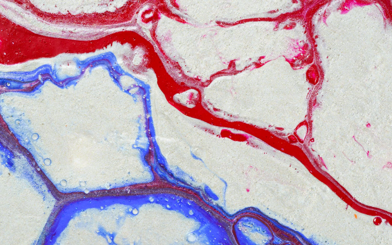 코큐텐 복용 시간