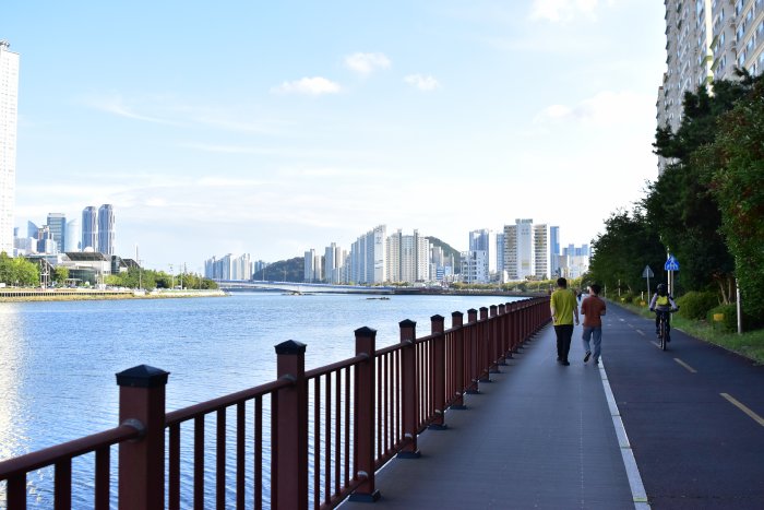 수영강변 이 편한 세상 앞 구락마을의 현재 모습