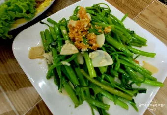 모닝글로리 쇼핑몰 다이어리 달력 수척 필통 추천_9